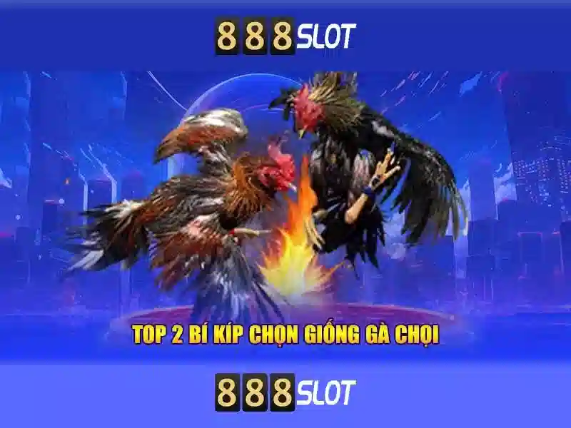 Tong quan ve 888 slot demo