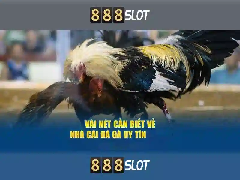 Trải nghiệm người dùng và di động