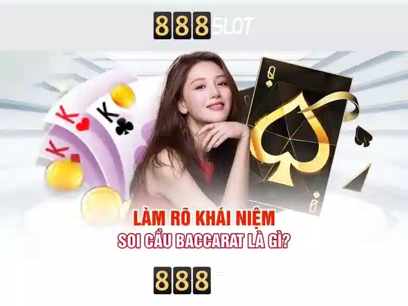 Dịch vụ khách hàng và hỗ trợ