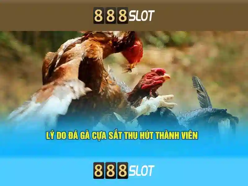 888slot: Đánh giá nền tảng máy đánh bạc trực tuyến