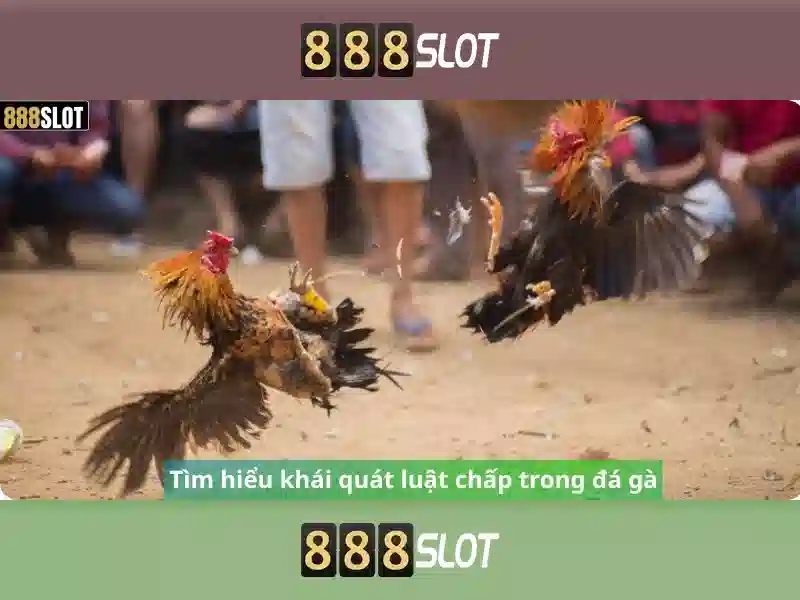 888slot - Đánh giá và Trải nghiệm Slots Trực tuyến