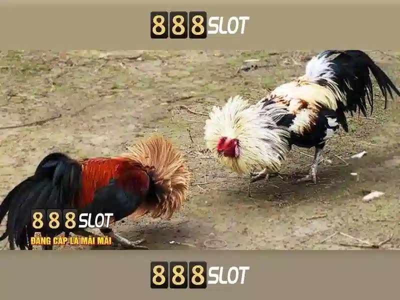 Khám phá 888slot – Nền tảng slot trực tuyến hàng đầu