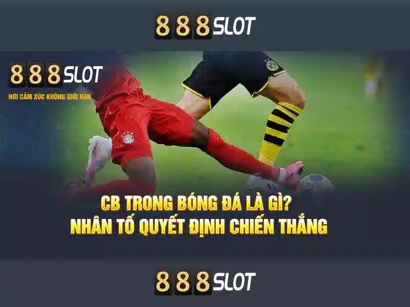 Giao diện người dùng và trải nghiệm