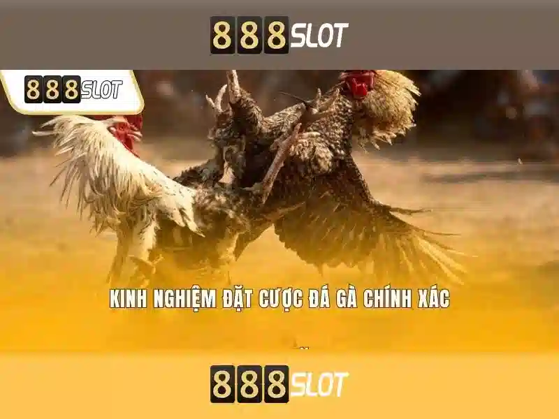 888slot là gì?