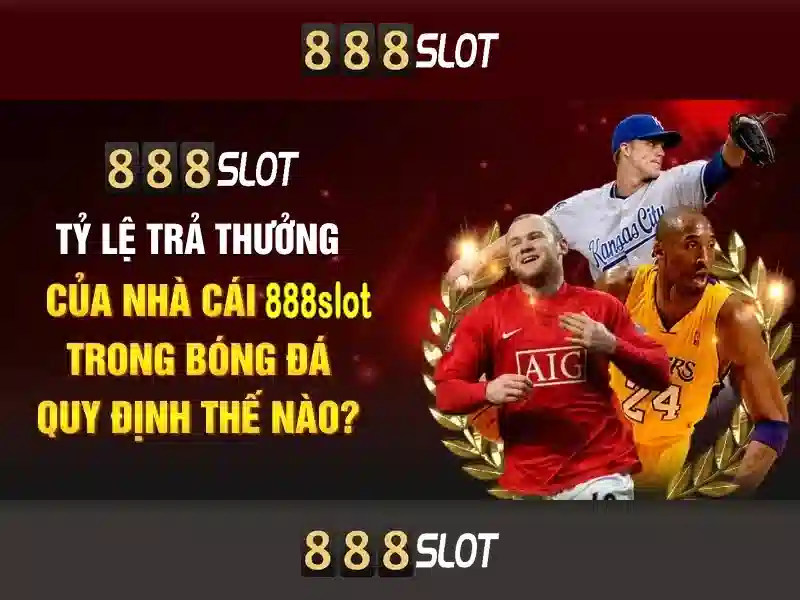 Hỗ trợ khách hàng và tài khoản