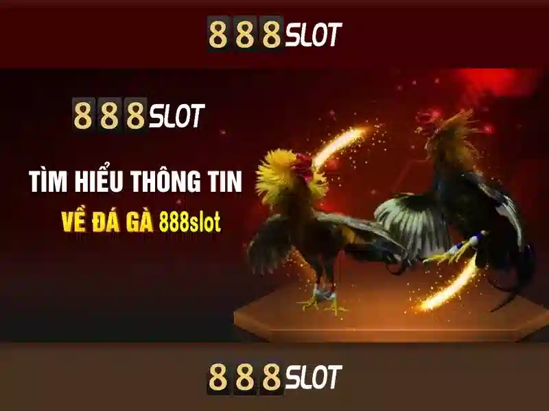 Giới thiệu về 888slot