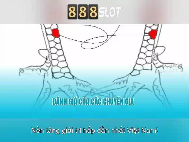 888slot – Đánh giá và trải nghiệm chơi game slot trực tuyến