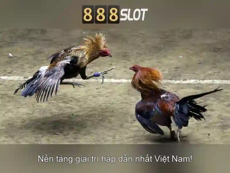 Bảo mật và thanh toán an toàn
