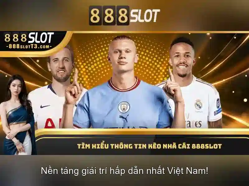 Ứng dụng thực tế và trải nghiệm