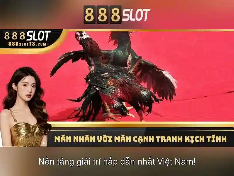 888slot - Nền tảng trò chơi xèng trực tuyến
