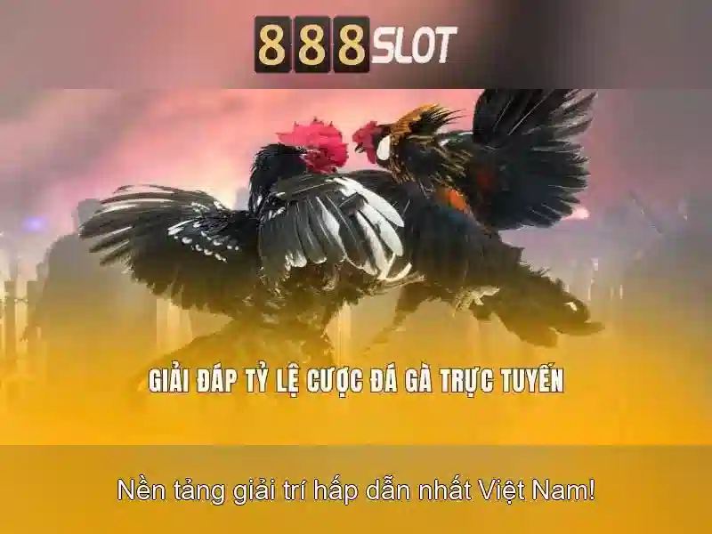 Trải nghiệm di động và thanh toán\n