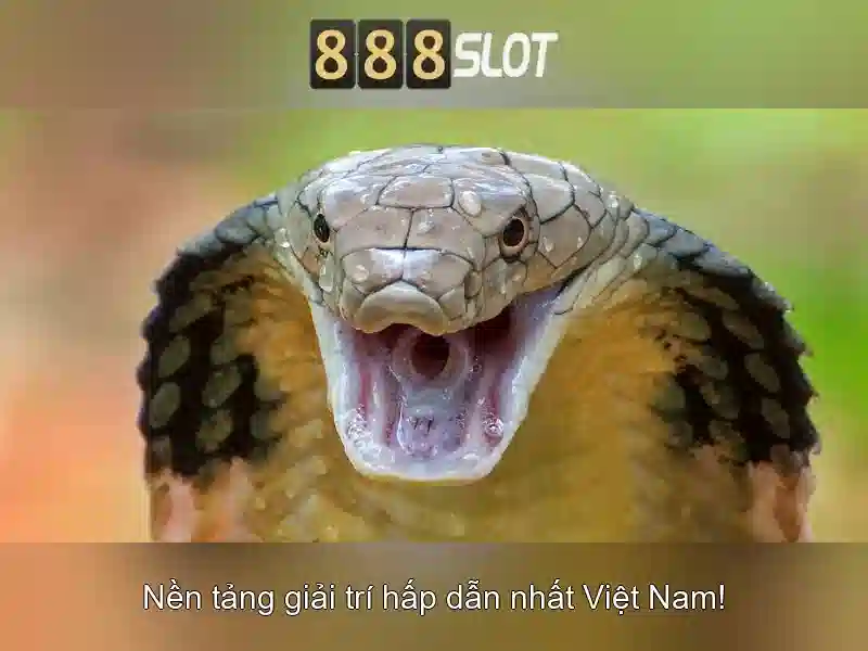 Giới thiệu về 888slot