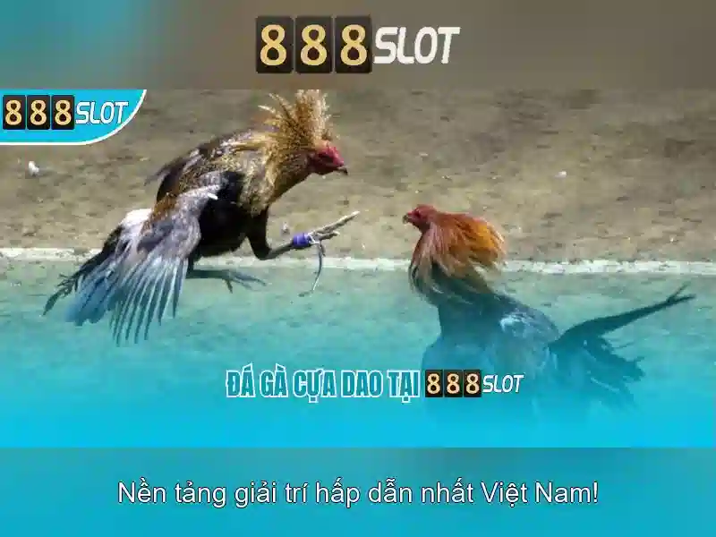 Giai thuong va chuong trinh khuyen mai