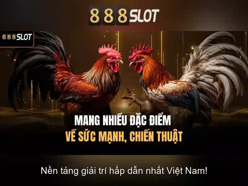 Phương thức thanh toán và an toàn\n